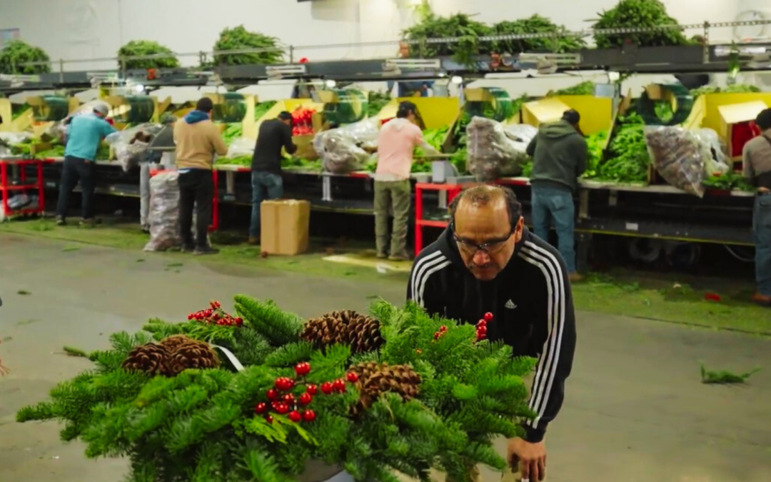 Continental Floral Greens Success Story