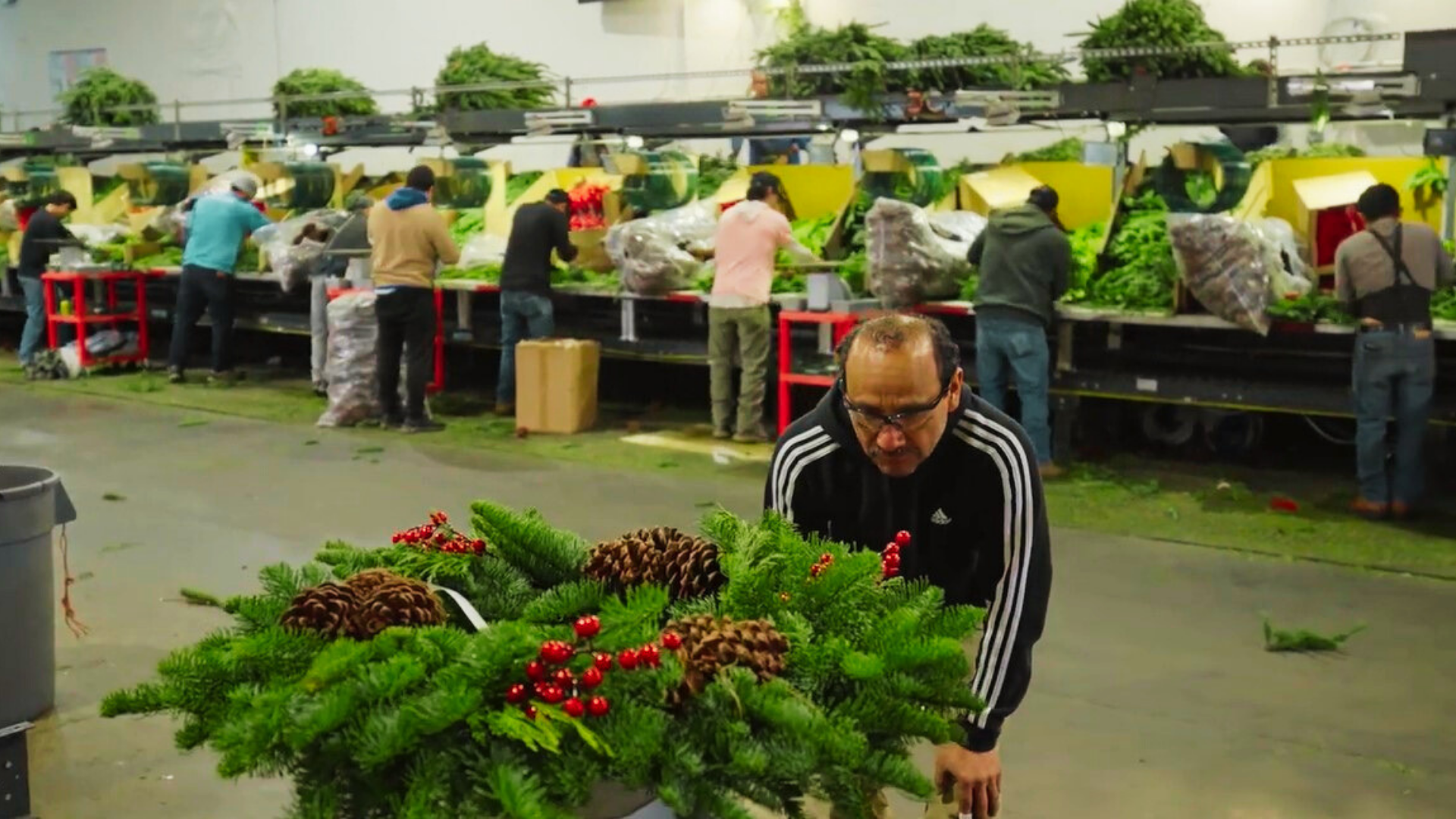 Continental Floral Greens Success Story